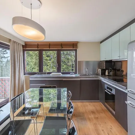 Apartment 3br 1850 Close To Les Trois Vallees - What'app - 0034-656-619-782 - For Reservations!